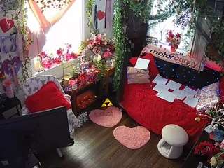 voyeurcam-veccasalt-01