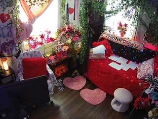 voyeurcam-veccasalt-01