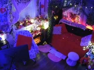 voyeurcam-veccasalt-01 webcam