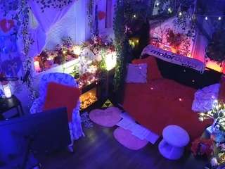 voyeurcam-veccasalt-01 webcam