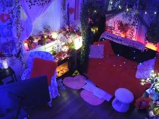 voyeurcam-veccasalt-01 webcam