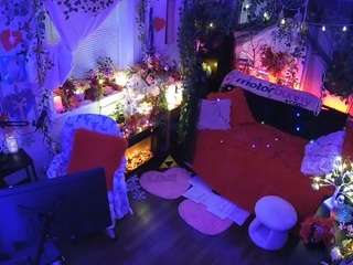 voyeurcam-veccasalt-01