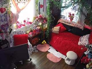 voyeurcam-veccasalt-01 webcam