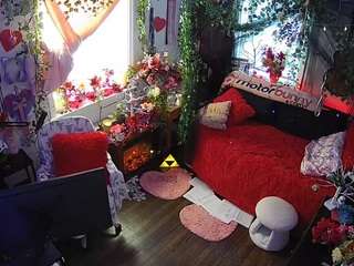 voyeurcam-veccasalt-01 webcam