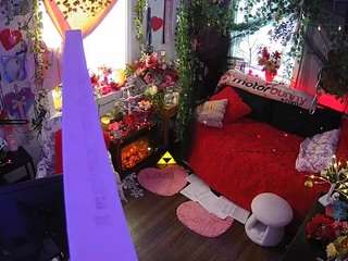 voyeurcam veccasalt 01