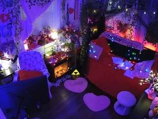 voyeurcam-veccasalt-01 webcam