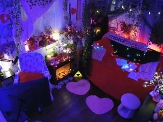 voyeurcam veccasalt 01