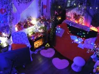 voyeurcam-veccasalt-01 webcam