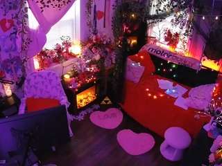 voyeurcam veccasalt 01