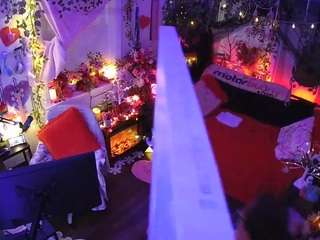 voyeurcam-veccasalt-01 webcam