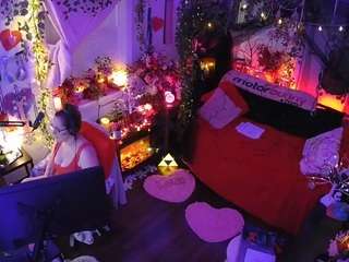 voyeurcam-veccasalt-01 webcam