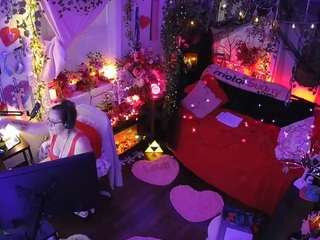 voyeurcam-veccasalt-01 webcam