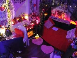 voyeurcam-veccasalt-01 webcam