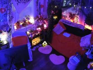 voyeurcam veccasalt 01