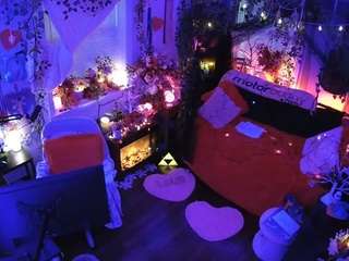 voyeurcam veccasalt 01