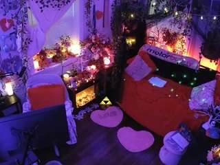 voyeurcam-veccasalt-01 webcam