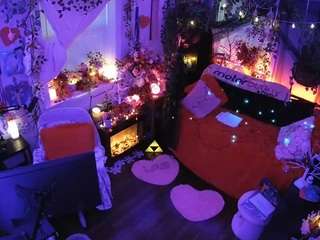 voyeurcam-veccasalt-01 webcam