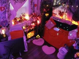 voyeurcam-veccasalt-01 webcam