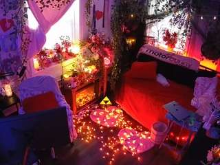 voyeurcam veccasalt 01