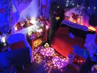 voyeurcam veccasalt 01