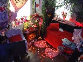 voyeurcam veccasalt 01