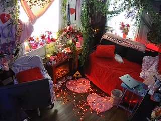 voyeurcam veccasalt 01