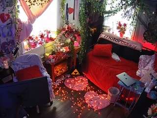 voyeurcam-veccasalt-01 webcam