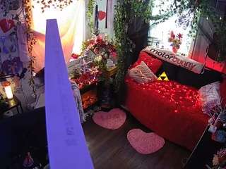 voyeurcam veccasalt 01