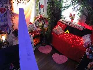 voyeurcam-veccasalt-01 webcam