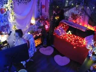 voyeurcam veccasalt 01