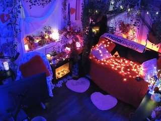 voyeurcam-veccasalt-01 webcam