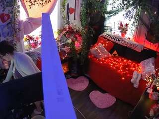 voyeurcam-veccasalt-01 webcam