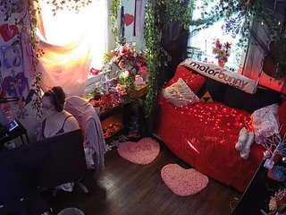 voyeurcam-veccasalt-01 webcam