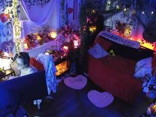 voyeurcam-veccasalt-01 webcam