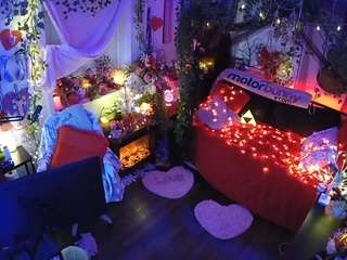 voyeurcam-veccasalt-01 webcam