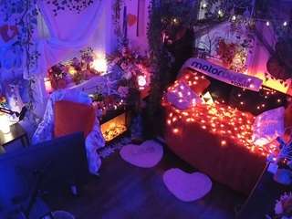 voyeurcam-veccasalt-01 webcam