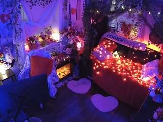 voyeurcam-veccasalt-01 webcam