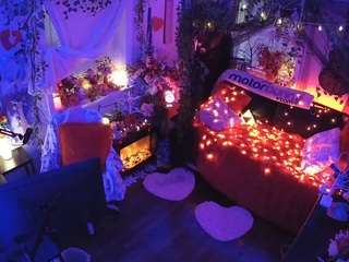 voyeurcam-veccasalt-01 webcam