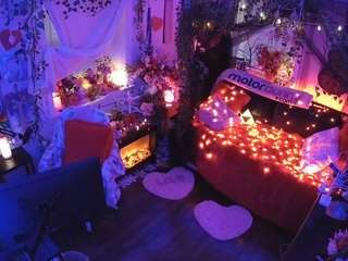 voyeurcam veccasalt 01