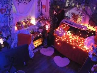 voyeurcam-veccasalt-01 webcam