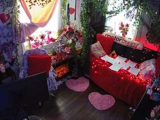 voyeurcam-veccasalt-01 webcam