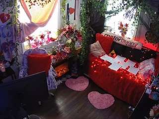 voyeurcam-veccasalt-01 webcam