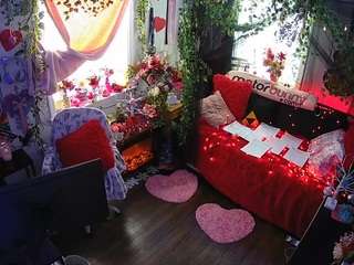 voyeurcam-veccasalt-01 webcam