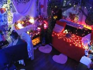 voyeurcam veccasalt 01