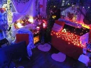 voyeurcam-veccasalt-01 webcam