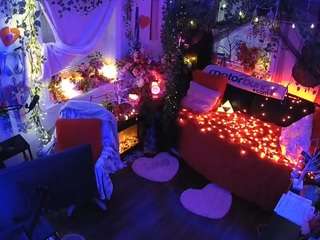 voyeurcam-veccasalt-01 webcam