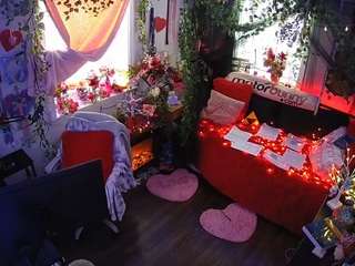 voyeurcam veccasalt 01