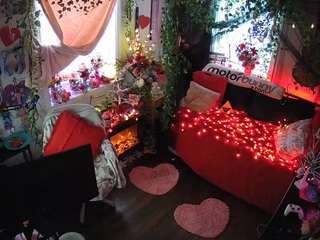 voyeurcam-veccasalt-01 webcam