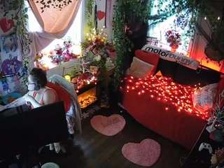 voyeurcam-veccasalt-01 webcam