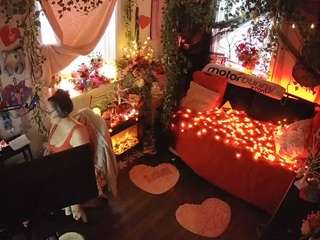 voyeurcam-veccasalt-01 webcam